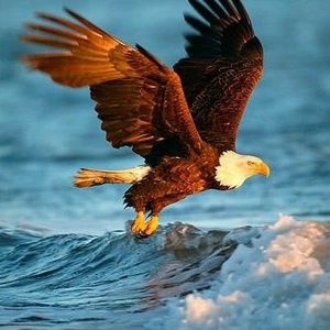 Meet your Posher, Dave